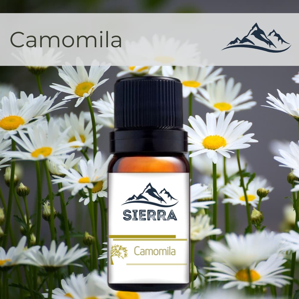 Essência de Camomila para Difusor Aromatizador Umidificador de Ar Hidrossolúvel Aroma 10ml
