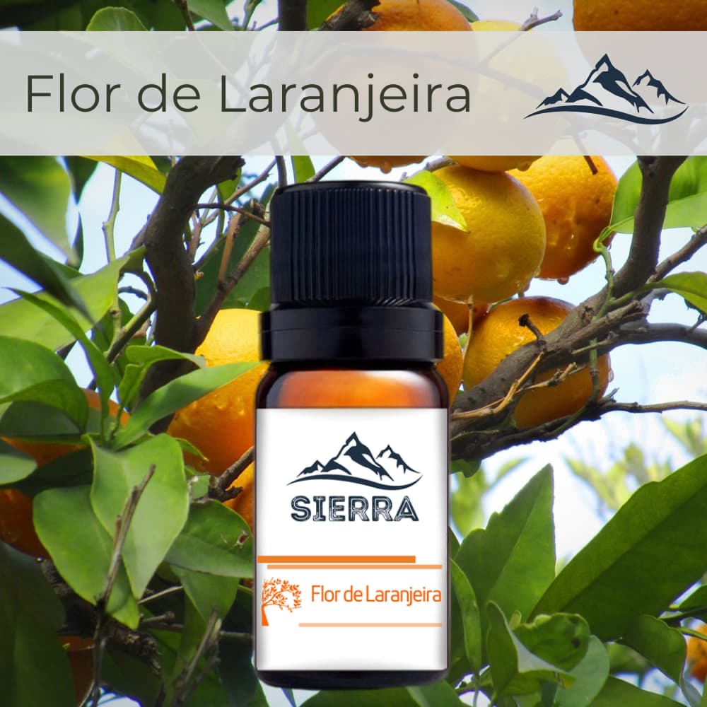 Essência de Flor de Laranjeira para Umidificador de Ar Difusor Aromatizador Aroma Hidrossolúvel 10ml
