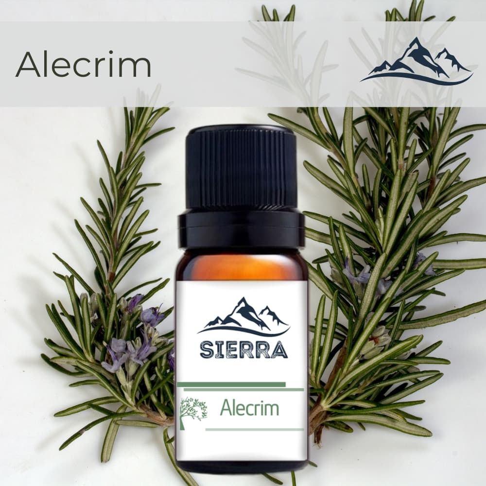 Essência de Alecrim para Umidificador Ar Difusor Aromatizador Aroma Hidrossolúvel 10ml Aromaterapia