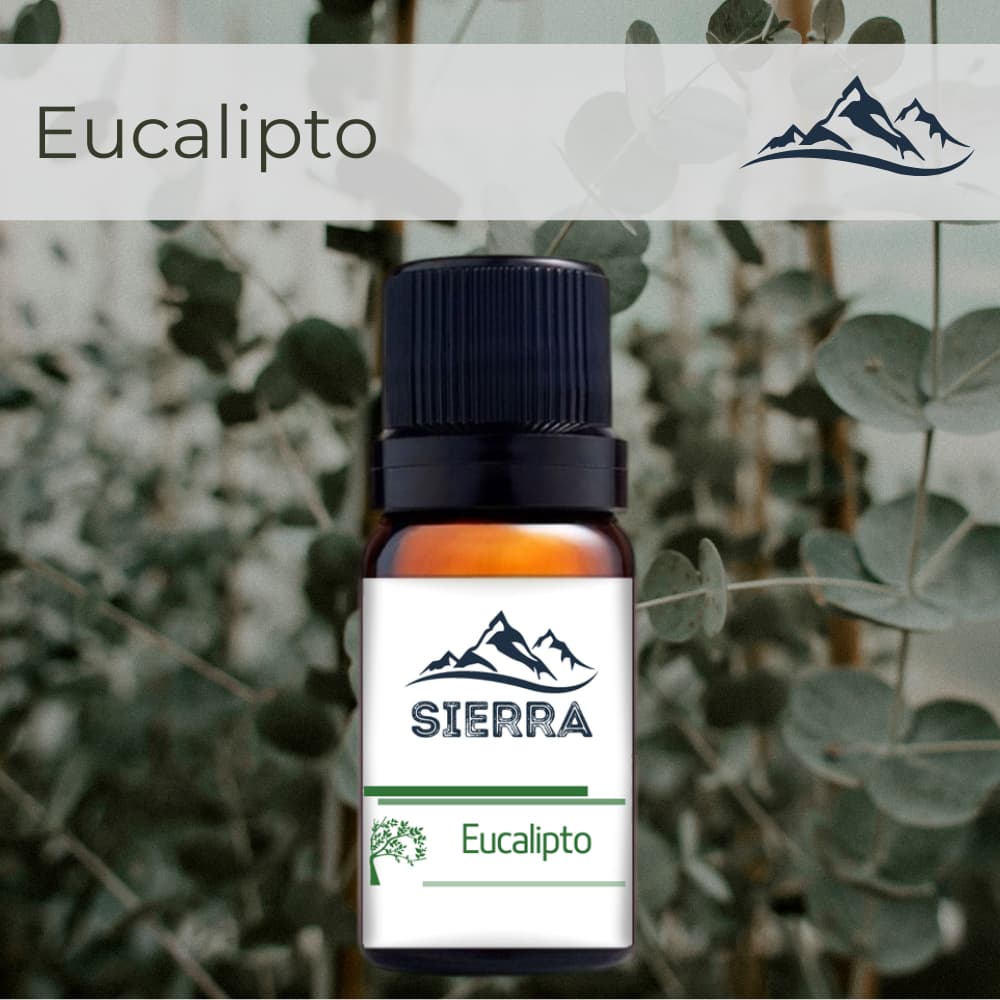 Essência de Eucalipto Hidrossolúvel para Aromatizador Difusor Umidificador de Ar Aroma 10ml
