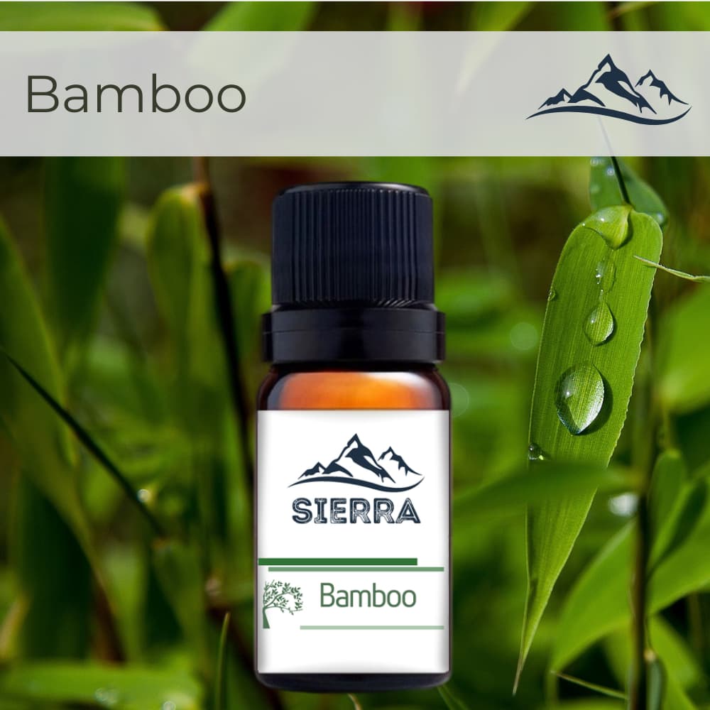 Essência de Bamboo para Umidificador Difusor Aromatizador Aromaterapia Hidrossolúvel Base Água 10ml