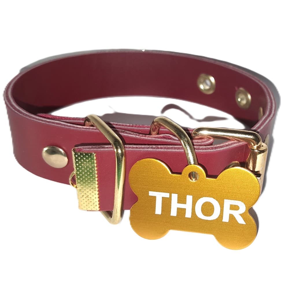 Coleira para cachorro personalizado Nome e Telefone Gravado