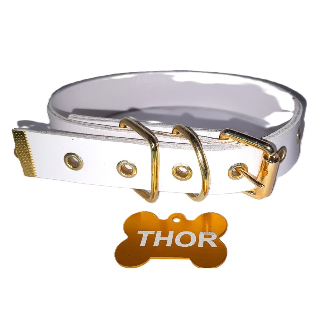 Coleira Personalizada Para Filhotes Nome e telefone