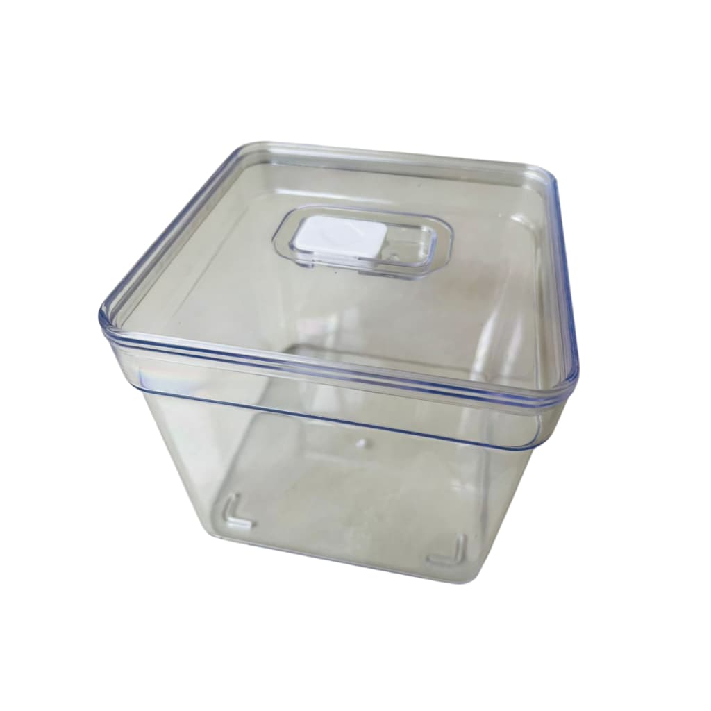 Organizador Clear Fresh Cesto Geladeira 2,8l Fruta Legumes Cor Transparente