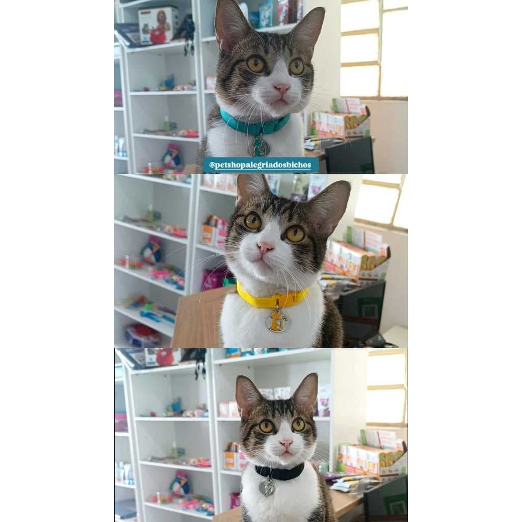 Coleira pra Gato Regulável Pingentes Strass