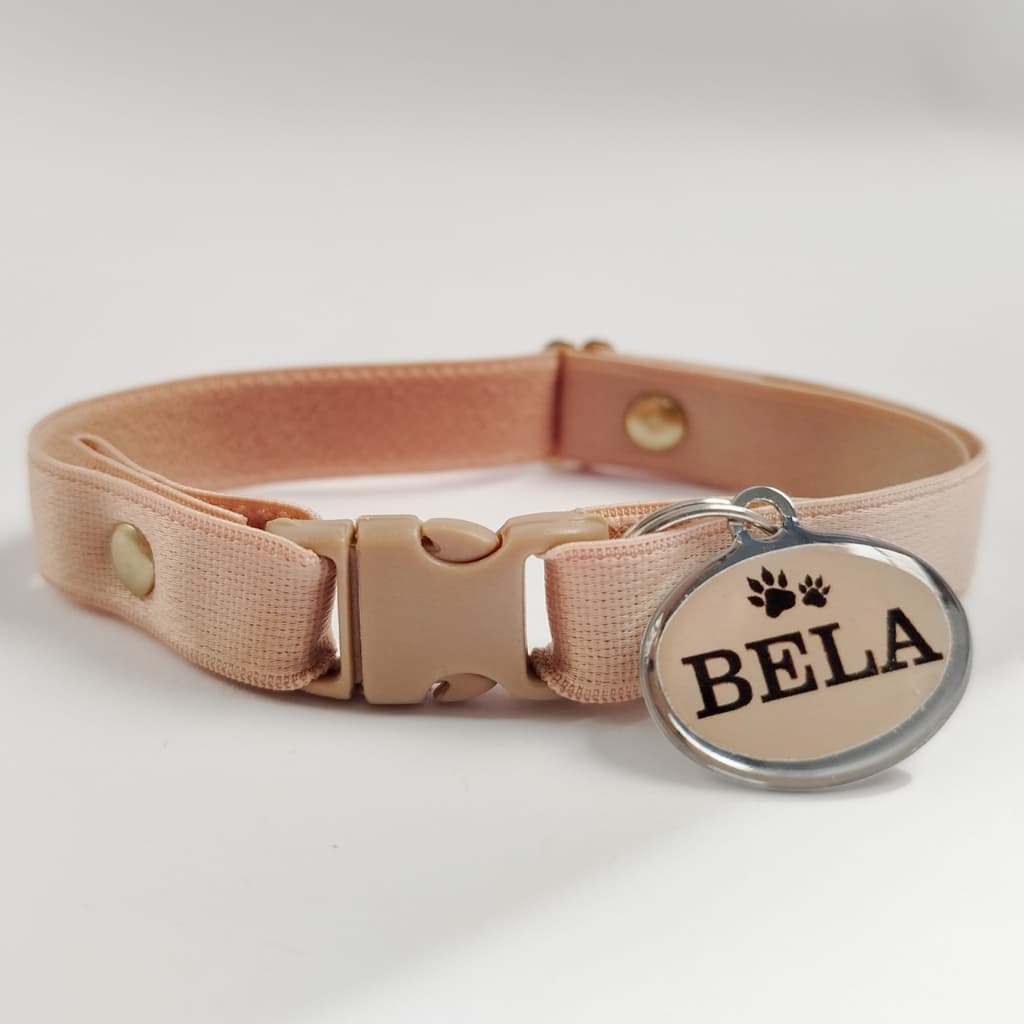 Coleira Elástica para Gato com Plaquinha de Identificação Personalizada Leve Confortável e Ajustável