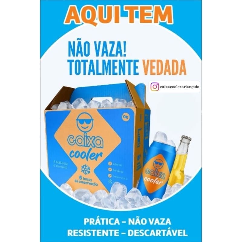 Caixa Cooler Descartável Térmica – 12 Latas / 12 Long Neck – Mantém o Gelo por 6h