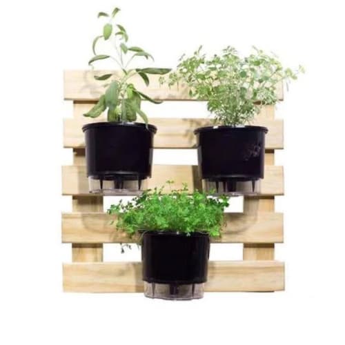 Suporte Anel 16cm Parede Para Vaso Auto Irrigável + Bucha e Parafuso Kit C/ 3 PÇS
