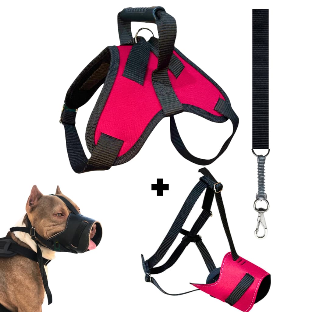 Kit Para Cachorros Focinheira + Peitoral Coleira + Guia bem reforçada Para Passeio Akita Basset