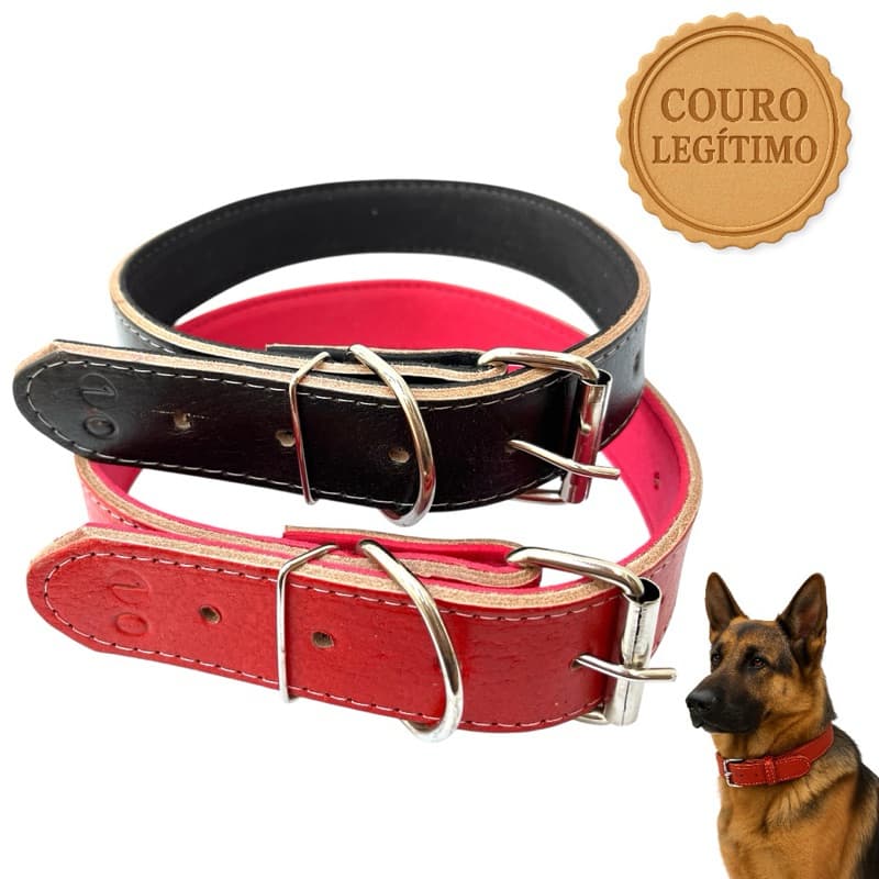 Coleira para Cachorro Reforçada Couro Legítimo Forrada Ajustável Todos os Portes