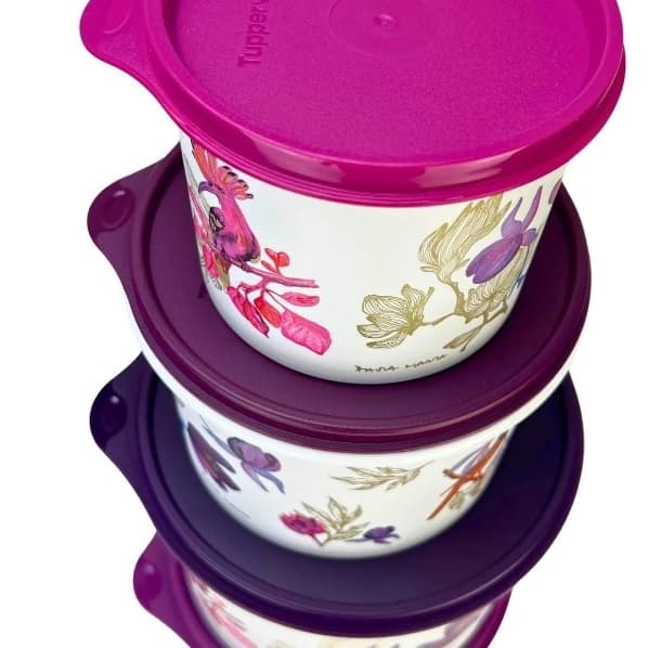 Tupperware Tupper Caixas Potes Vasilhas - Vários modelos e tamanhos