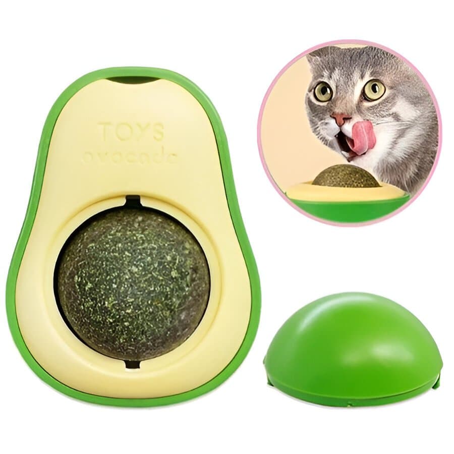Abacate Para Gatos Com Catnip Erva Gato Natural Alivia Estresse, Adesivo Superfície Antiderra