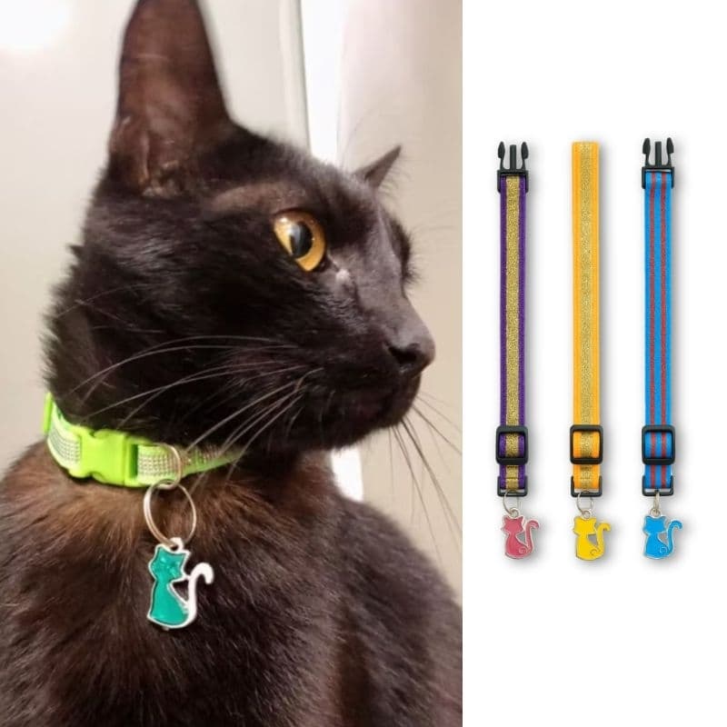 Coleira Elástica com Glitter e Pingente para Gatos – Ajustável e Confortável