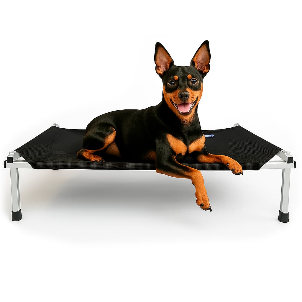 Cama Suspensa Tamanho P Cachorro Aluminio Lavável Resistente | Cama Suspensa