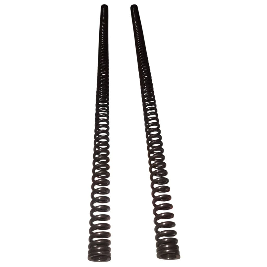 KIT 2 UNIDADES MOLA INTERNA BENGALA CG TODAY TITAN 125 TODAS FAN 125 2005 / 2018
