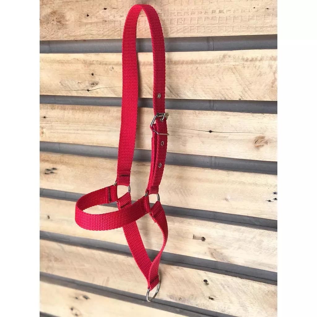 Cabresto Para Bezerro / Vaca / Bode Em Fita Nylon Regulável Envio Rápido