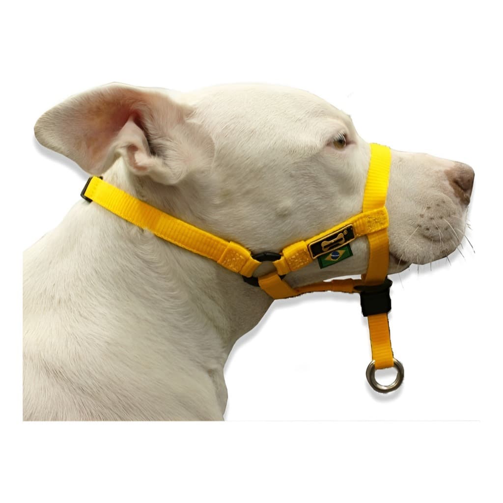 Coleira Cachorro Cabresto Guia Halti Adestramento Guia Cães Amorosso Dog Dogue Alemão São Bernardo Mastim Inglês Pitbull