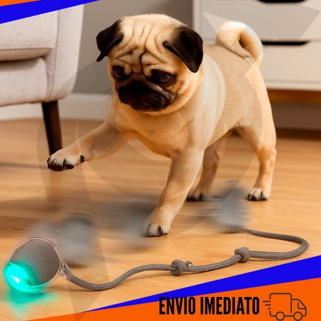Bola Brinquedo Bolinha Para Gato Cachorro Auto Magico Elétrico Pets Usb Recarregável