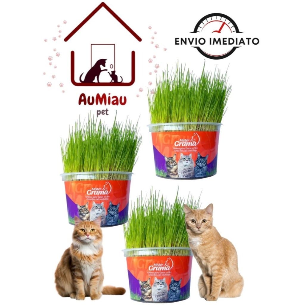 Kit 3 Graminha para Gatos Mister Auxilia Na Digestão E Bola De Pelo.