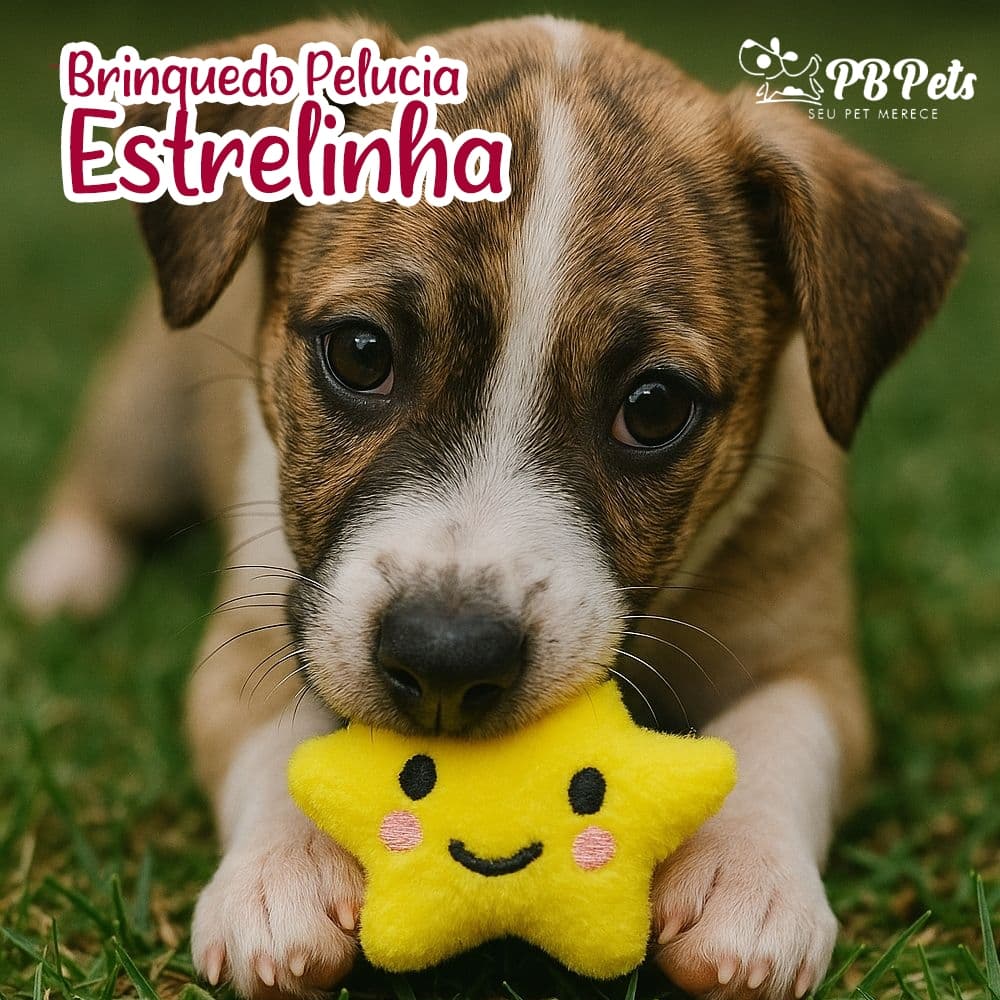 Pelúcia Estrela com apito Brinquedo Pet Para Cachorros Caes Cachorros e Gatos