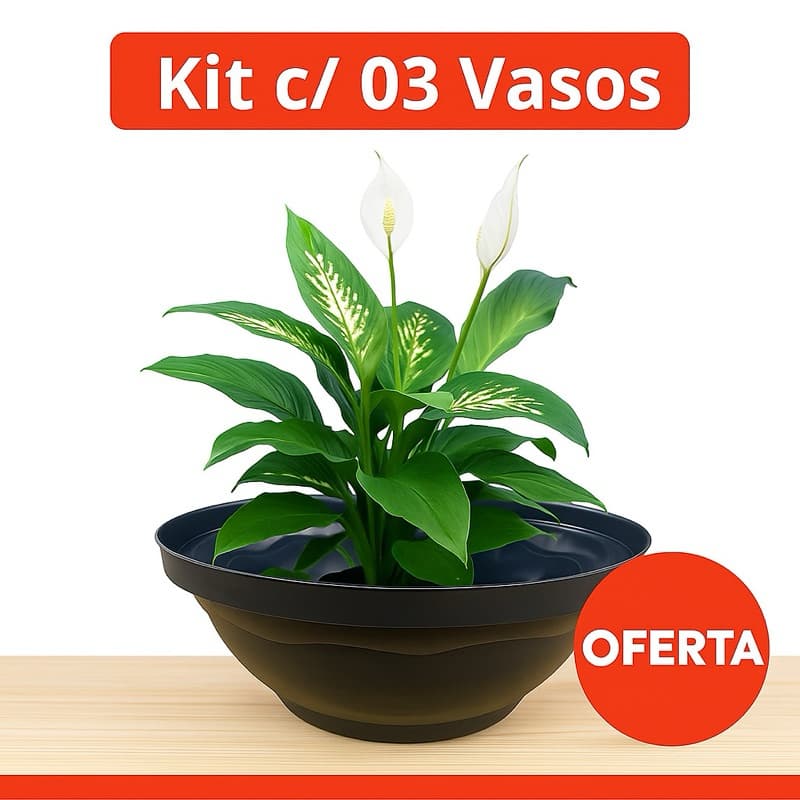 Kit 3 unidades Vaso Plástico Cuia 21 - 25 - 32 - 40 TC Preta, Plantas Pendentes Rosa Do Deserto