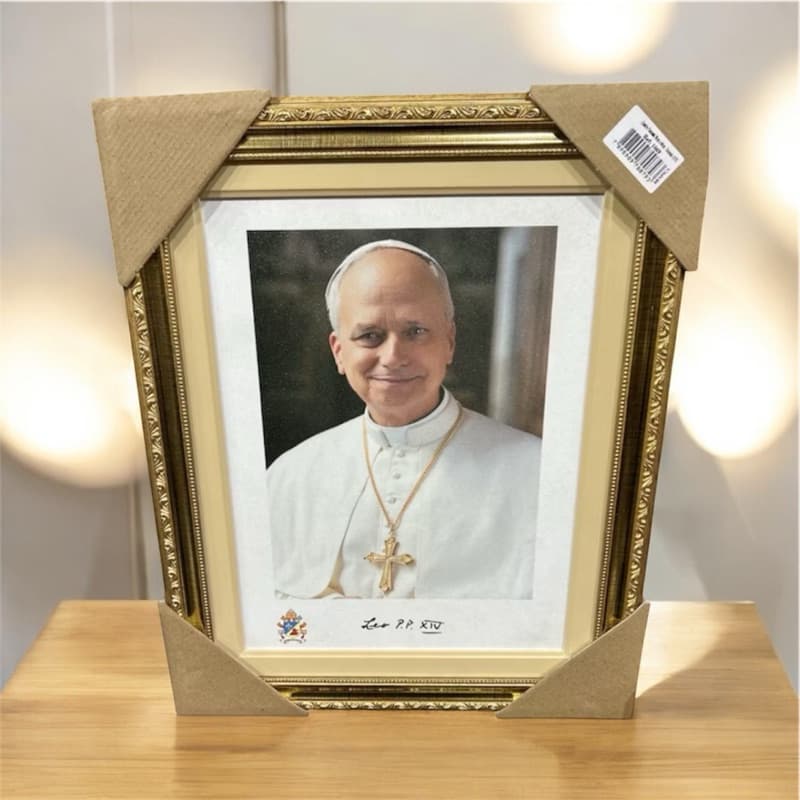 Quadro Papa Leão - Imagem Oficial - 40x50 cm
