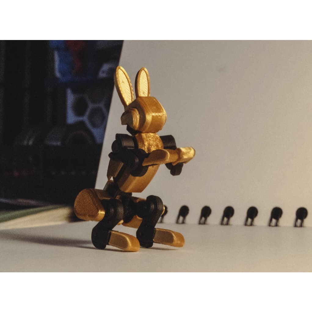 Coelhinho Dummy 13 Articulado Brinquedo Decoração Varias Cores Entregue Montado - Impressão 3D