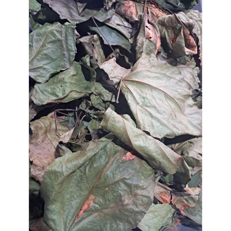 Urucum, Bixa orellana, folhas desidratadas para chá 50 grs