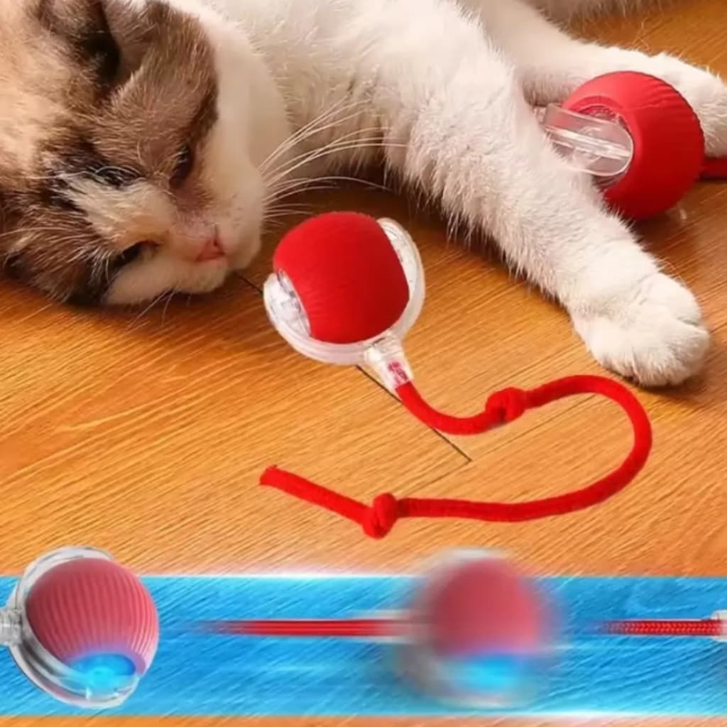 Bolinha Interativa Para Gato Pet Cachorro Bola Eletrônica Recarregável