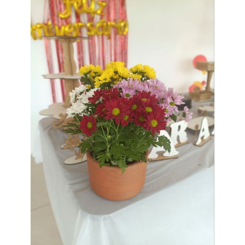 vaso de barro decorativo ou para plantar -lindos e charmosos !!!