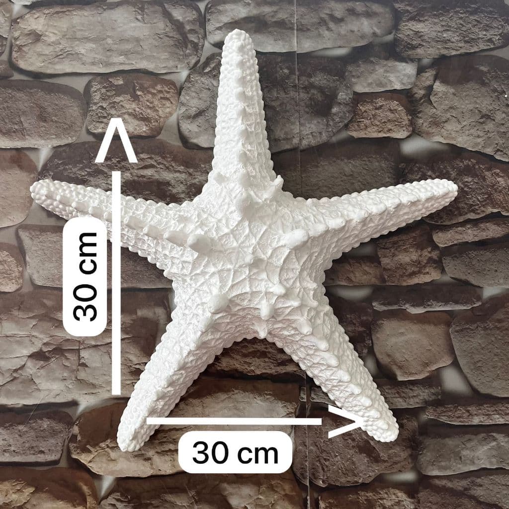 Estrela do Mar de Parede G em Gesso Cru