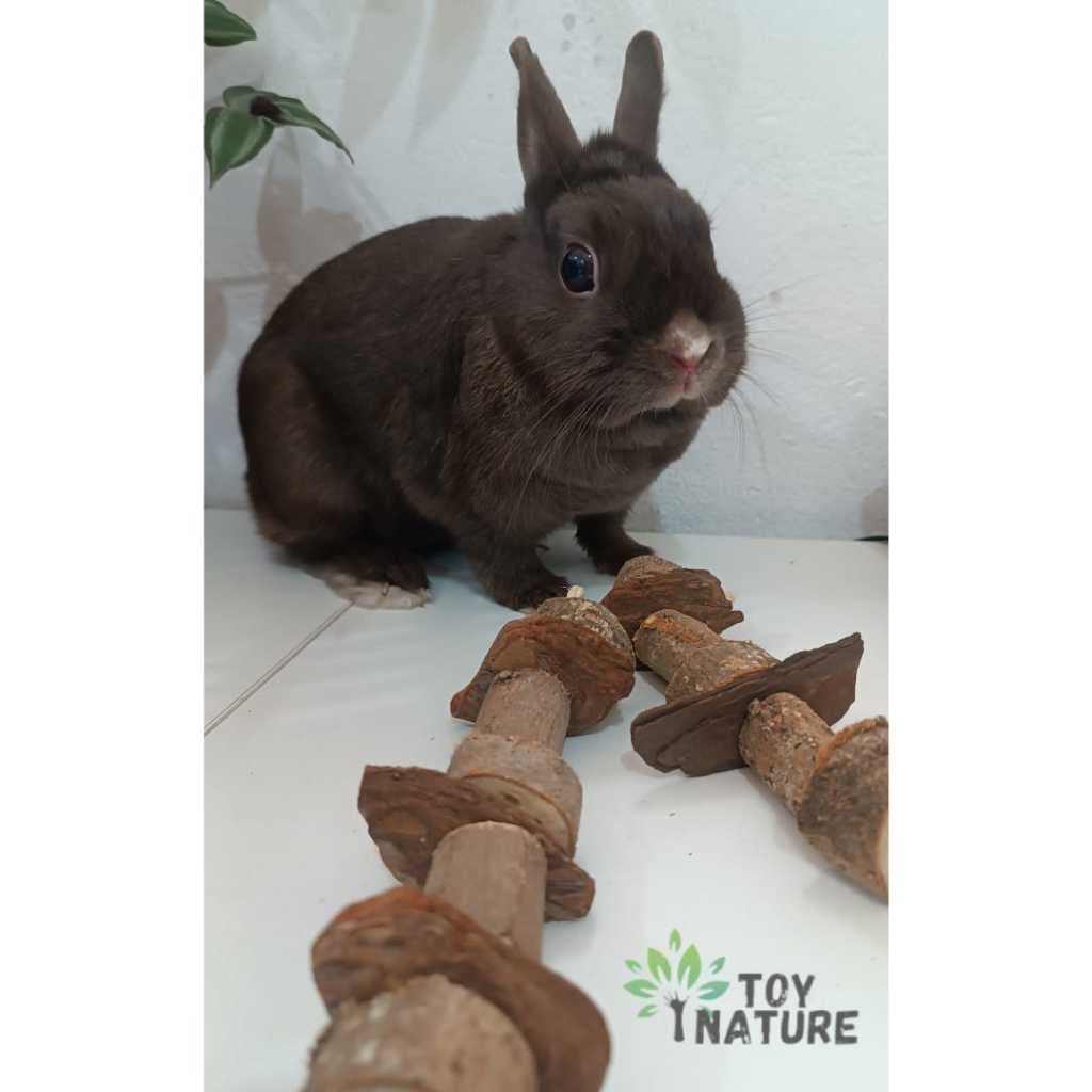 Brinquedo natural Hamster/ roedores/ aves Galho de amora Toy Nature