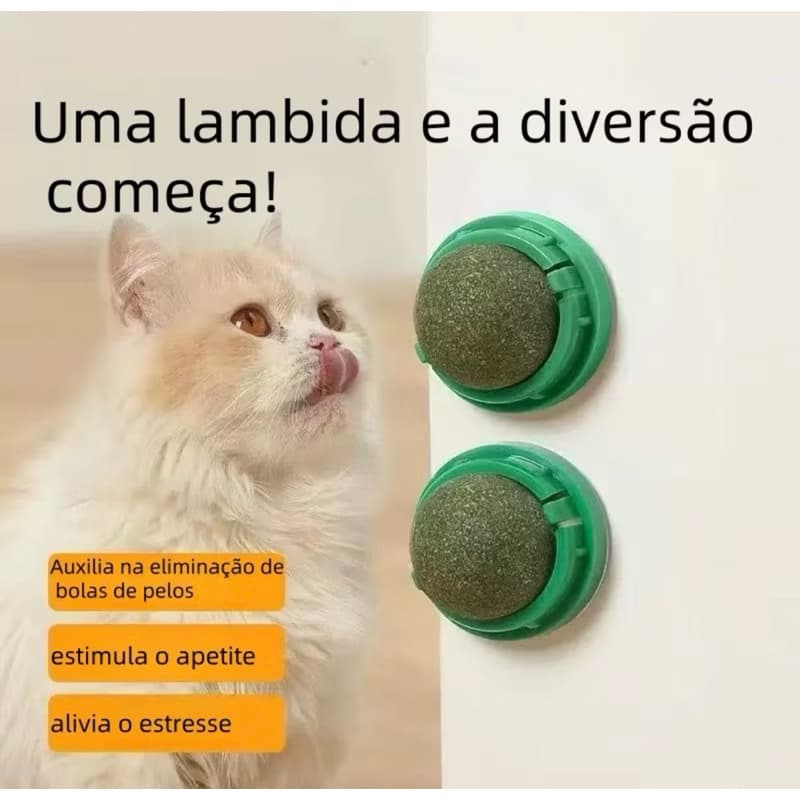 Brinquedo Catnip Para Gatos ERva do Gato tranquilo benefícios físico comportamentais.