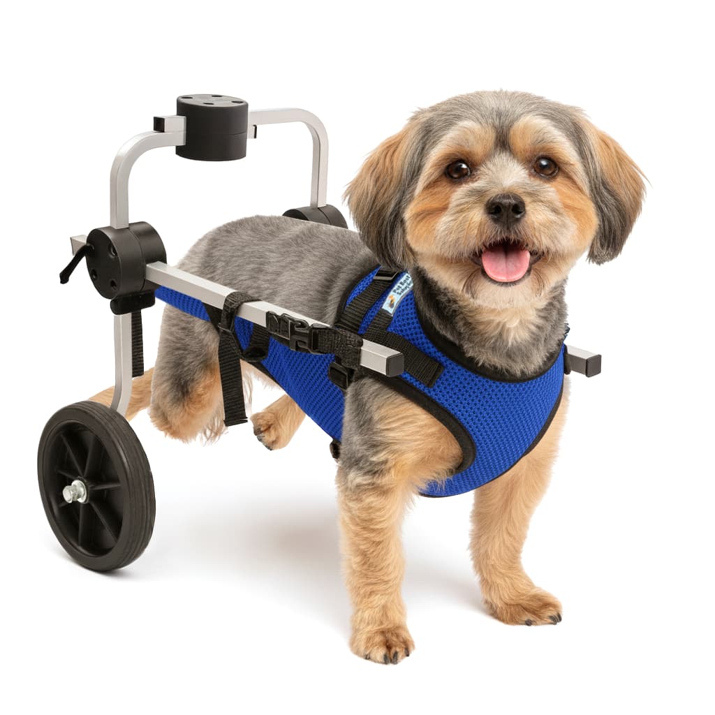 Cadeira 2 Rodas Colete Tamanho P Cachorro Traseira Regulável Deficiente Paraplégico Idoso