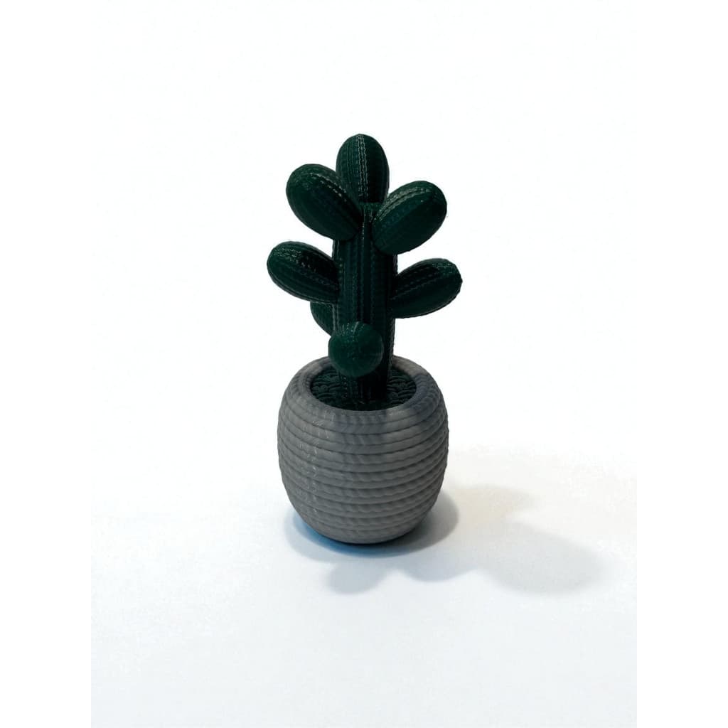 Mini Cacto Decorativo