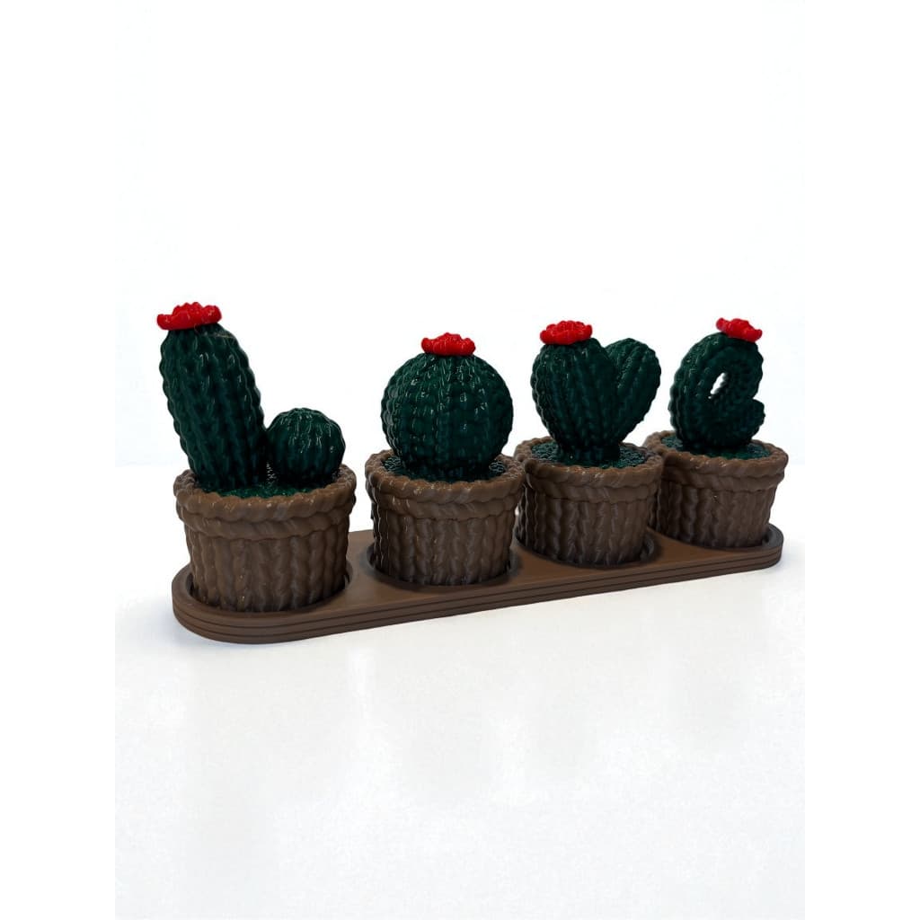 Letreiro “LOVE” com Cactos Decorativos