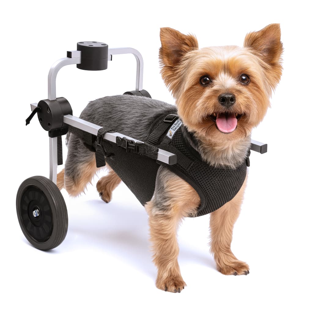 Cadeira 2 Rodas Colete Tamanho PP Cachorro Traseira Regulável Deficiente Paraplégico Idoso