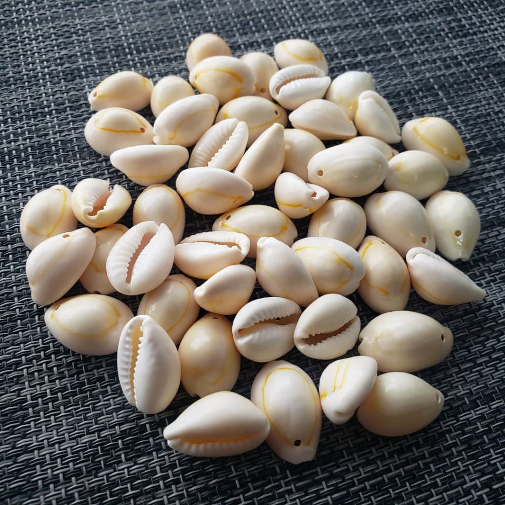 25/50/100 Un Concha buzios natural 1 furo para artesanato tamanhos entre 1,8 e 2cm
