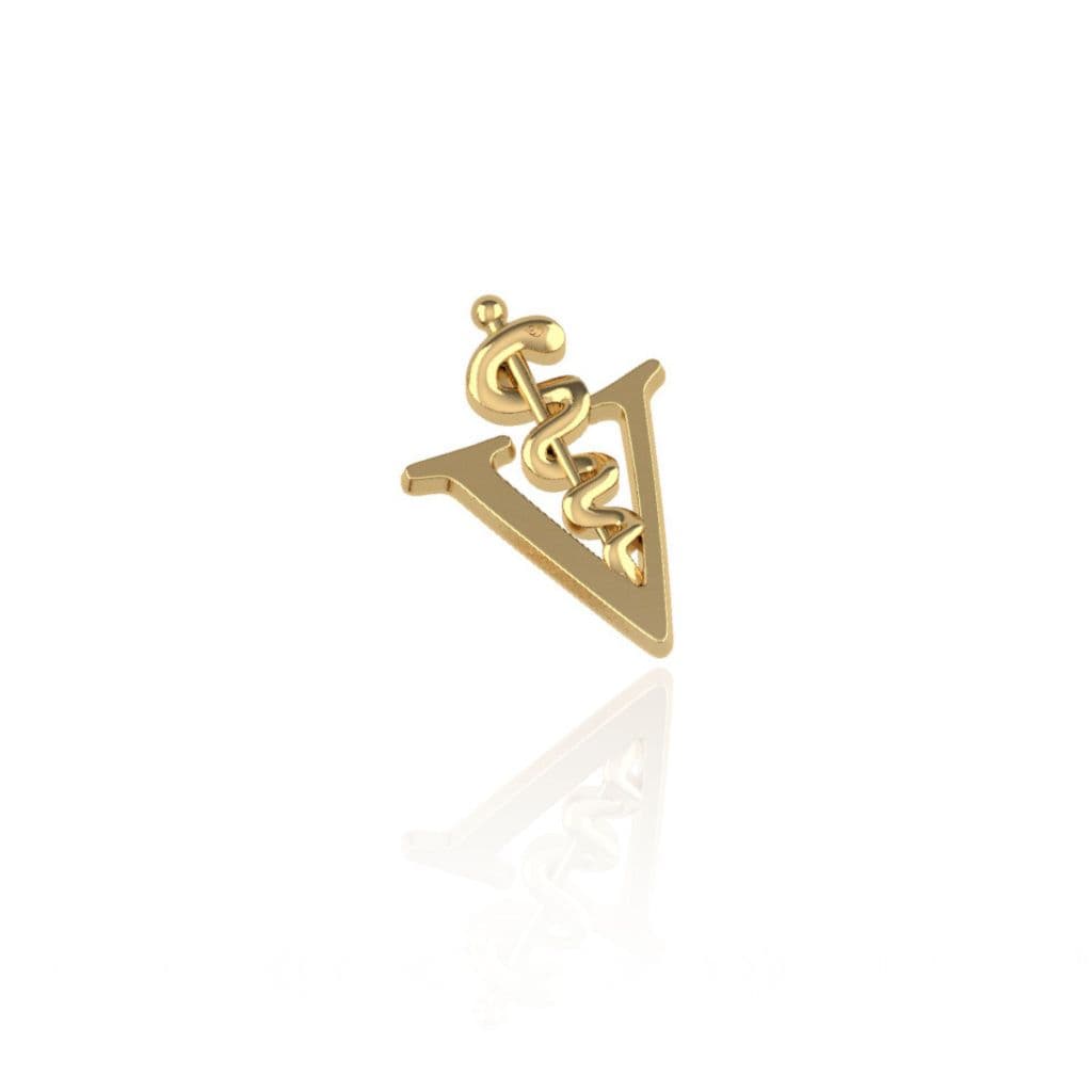 Pin Broche Botton Veterinária Coleção Profissões Área Da Saúde Medicina Animal Pet Clínica Veterinária Amor Aos Animais