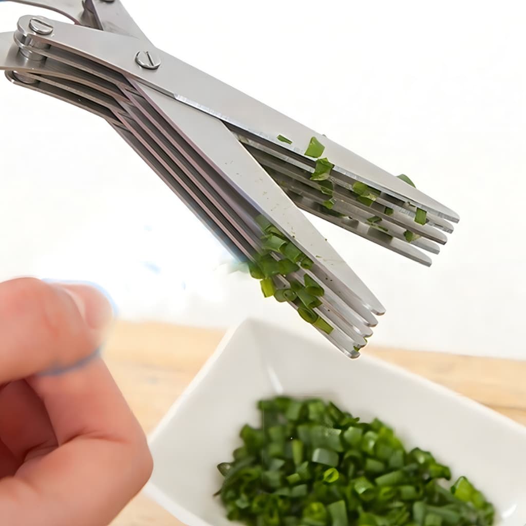 Tesoura Inox Para Picar Alimentos Temperos E Ervas 5 Lâminas