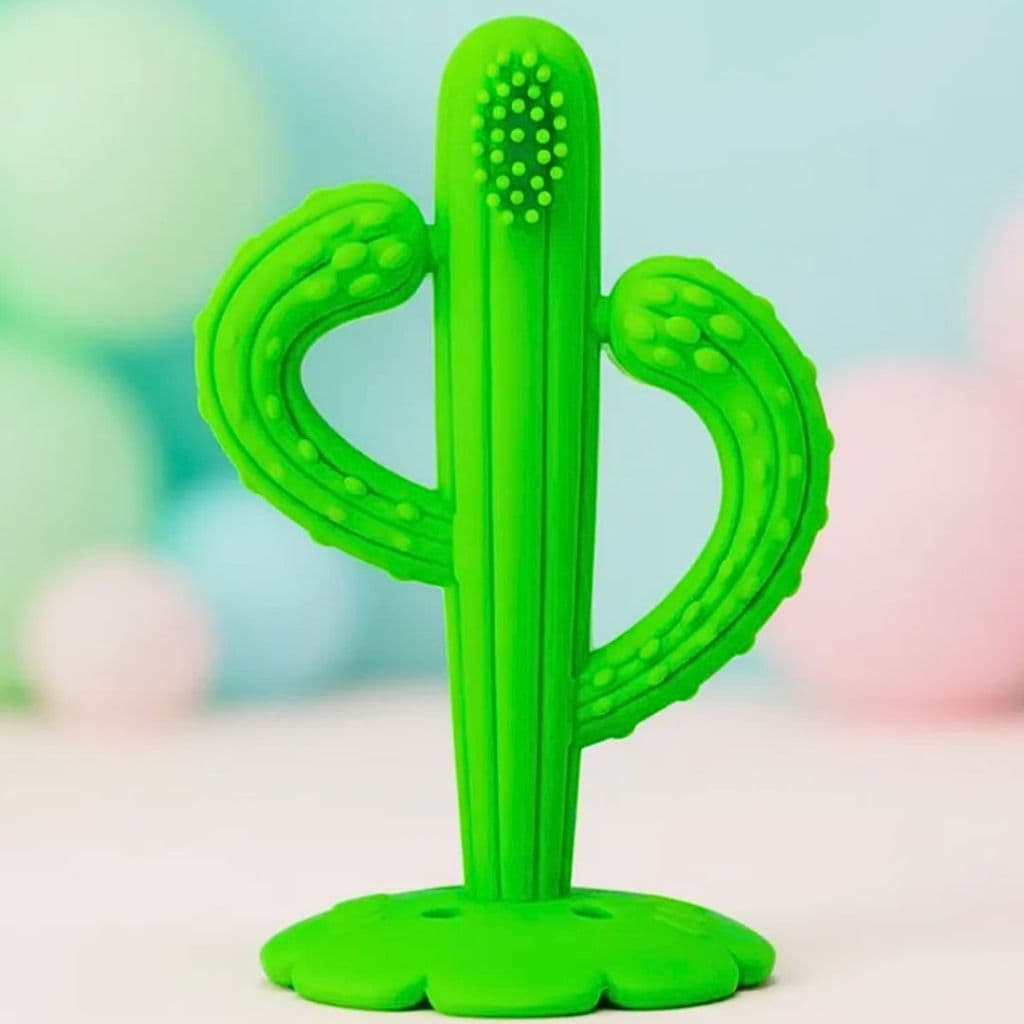 Mordedor Silicone Massageador Macio Para Gengiva Dentinhos Bebê Cacto