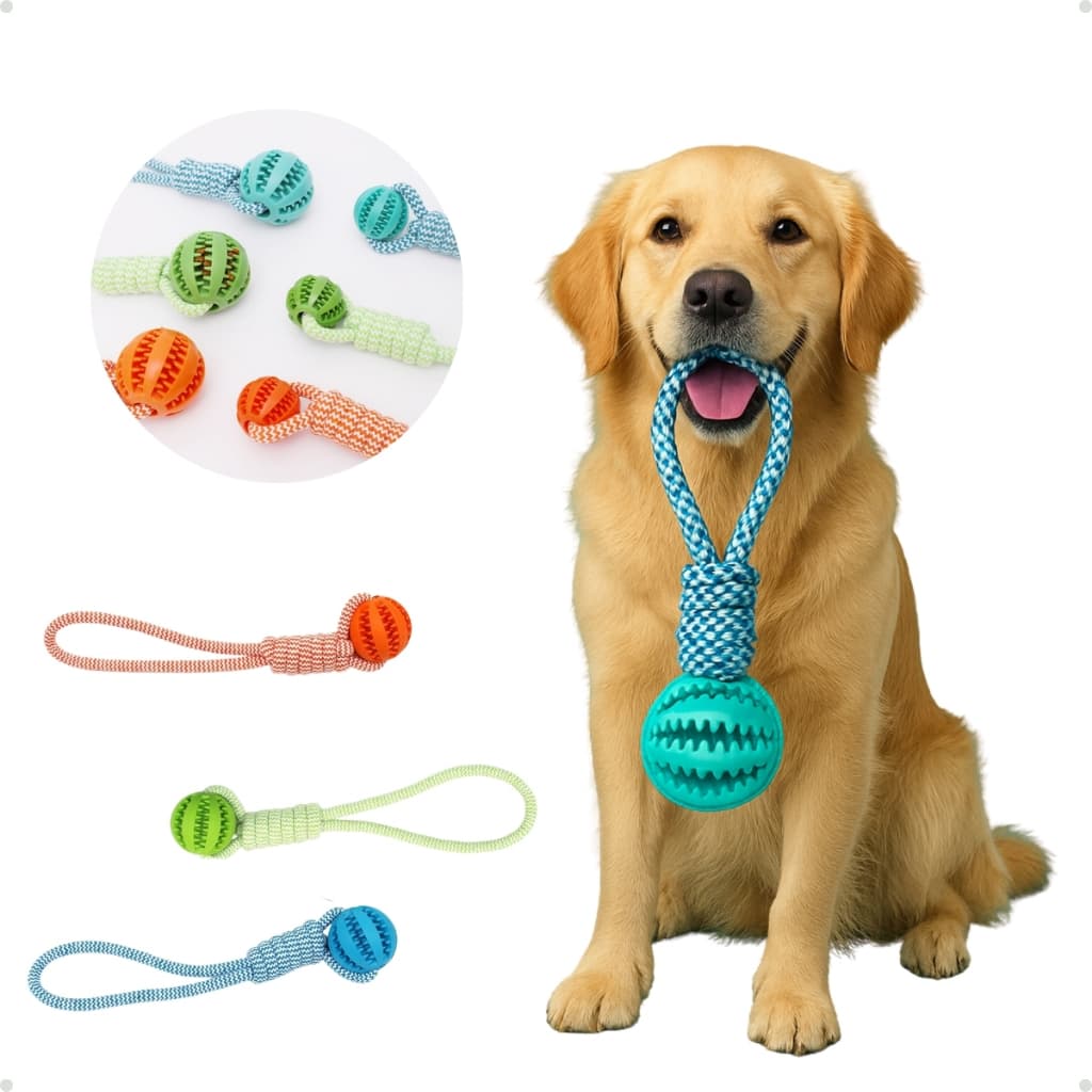 Brinquedo Interativo para Cachorro com Corda e Bola Dentada – Cores Sortidas, Resistente e Divertido