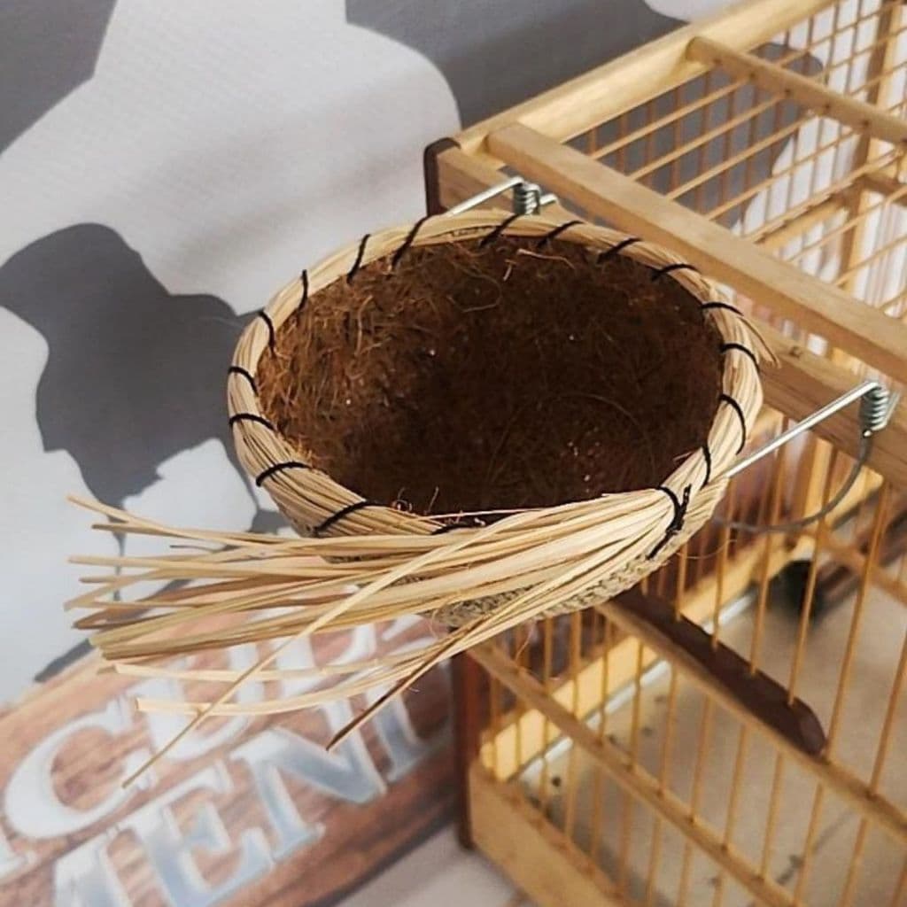 Ninho Araujo para Azulão com bordas reforçadas e trançadas na fibra de coco e com sinzal para foguear