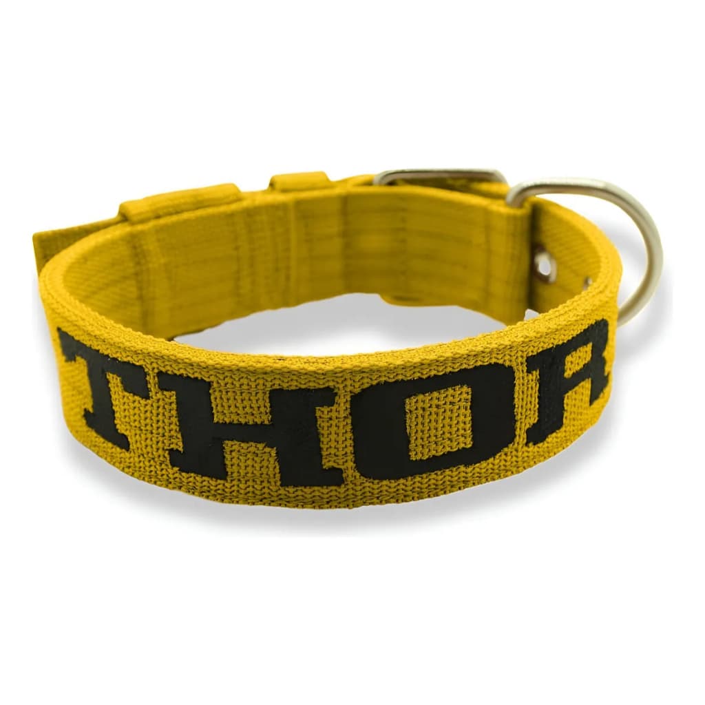 Coleira Cachorro Medio E Grande Personalizada Nome Fit