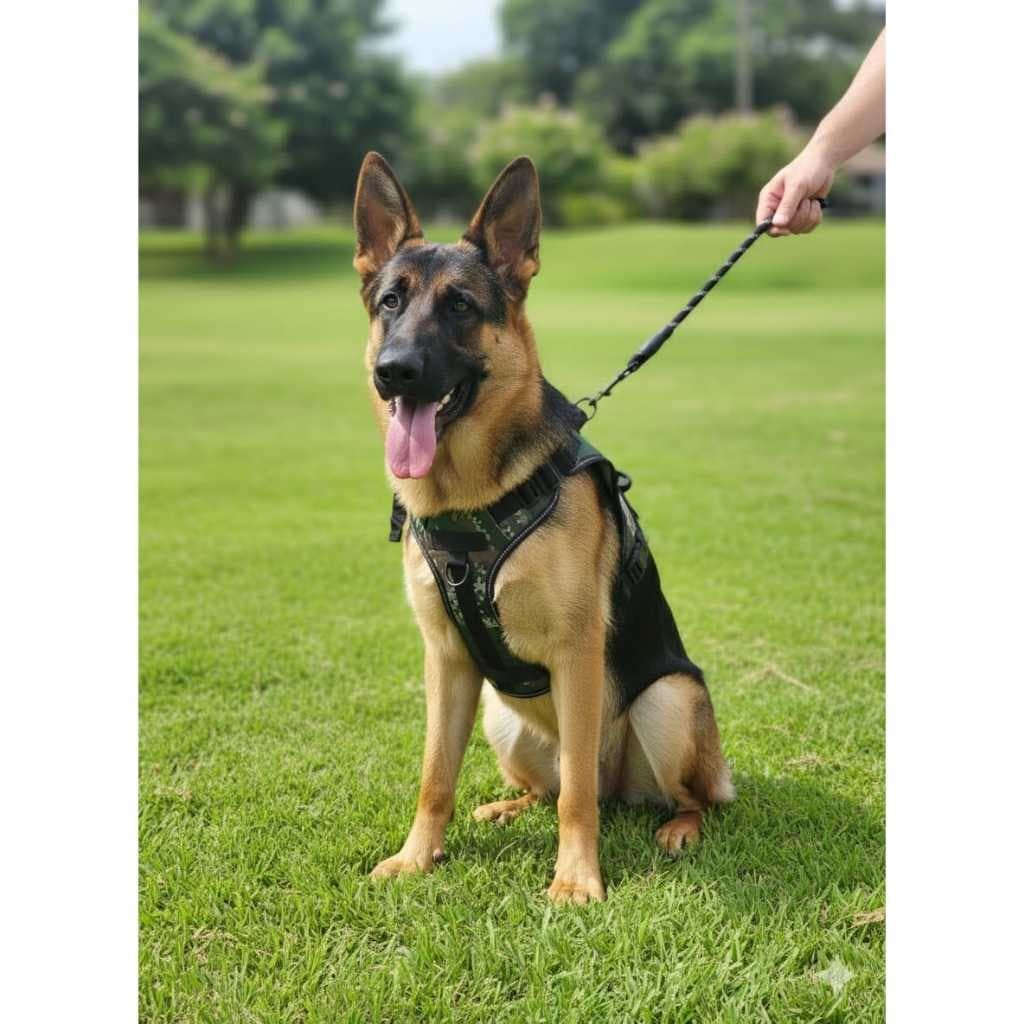 Peitoral para Cachorro Porte Grande com Guia – Colete Reforçado Ajustável