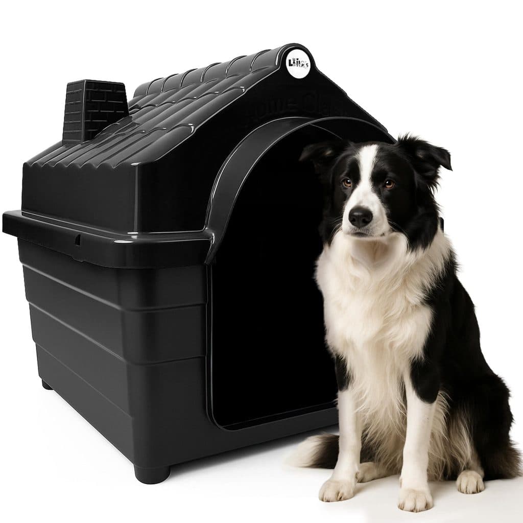 Casa Para Cachorro Grande Porte N6/N7 Plástica Kit Com Colchonete Cama Para Cães Até 20kg