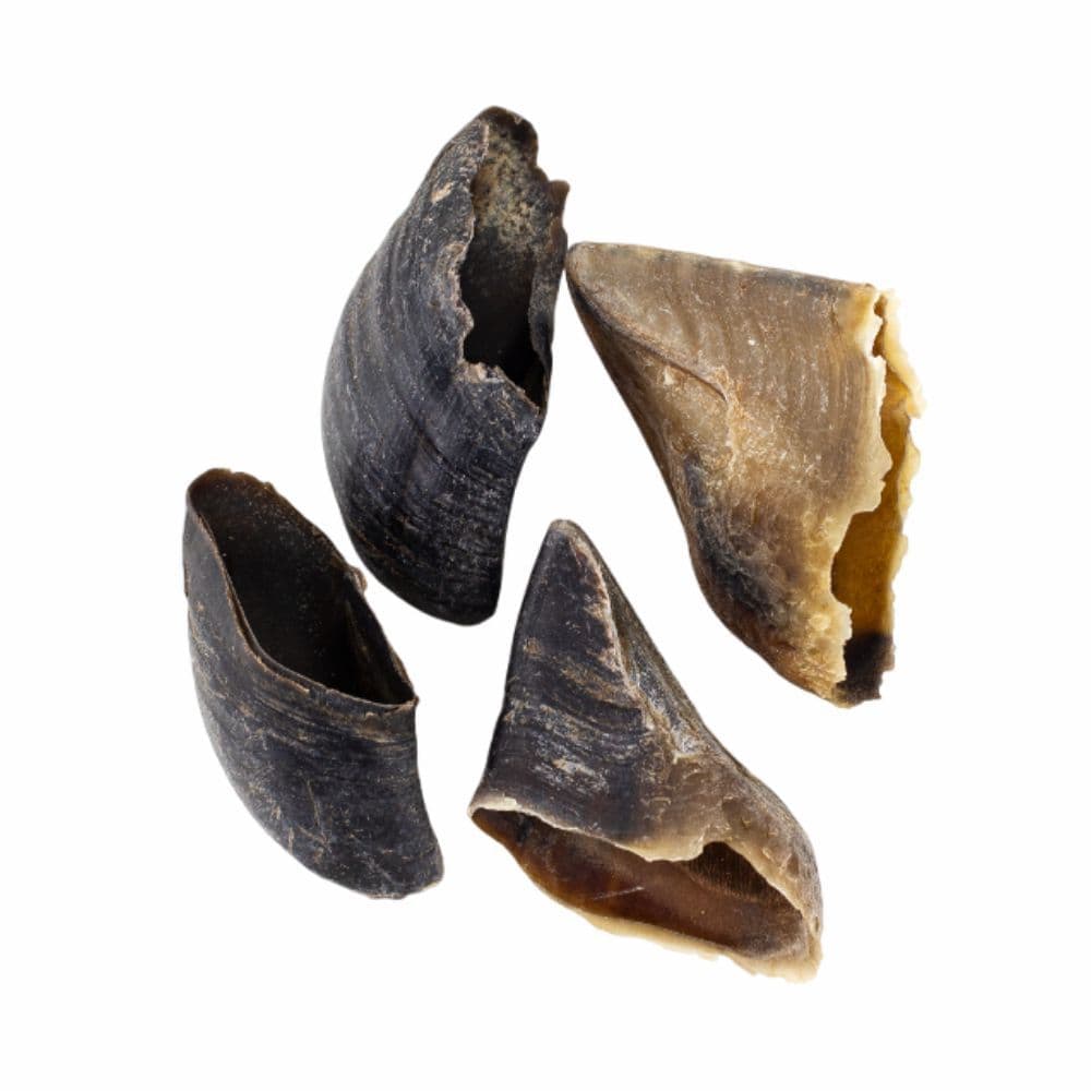 Mordedor Natural Artesanal Casco Bovino Opaparico - Kit de 10un