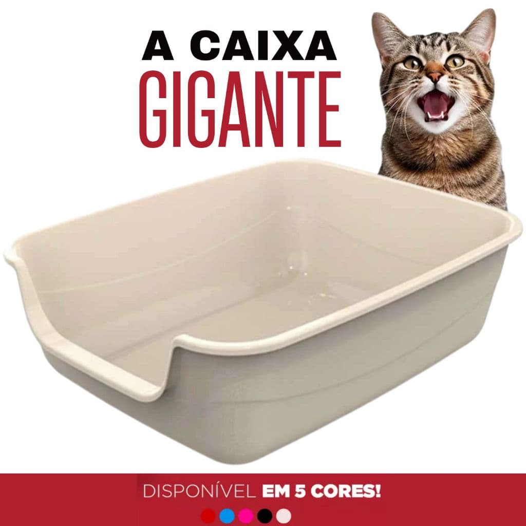 Caixa de Areia Para Gatos Gigante Bandeja Sanitária Grande Jumbox  Pet Injet