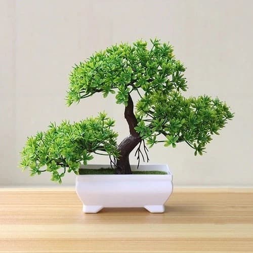 Bonsai Artificial Realista Decorativo Modelo Nuvem