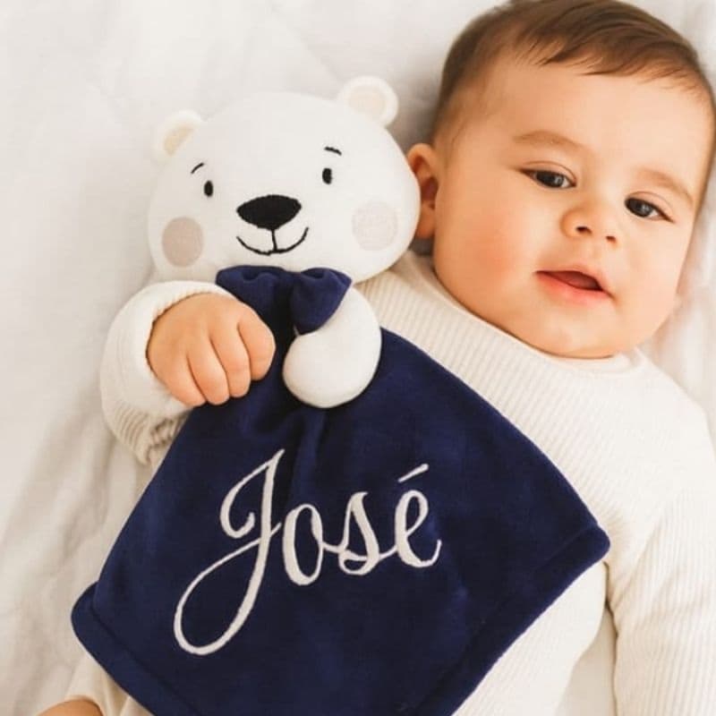 Naninha Personalizada para Bebe Menino Com Nome e Prendedor de Chupeta  Tema Ursinho Saída de Maternidade Presente Baby